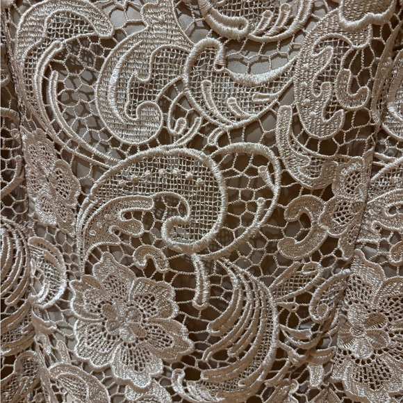 Adrianna Papell Boutique Cream Lace Mini Dress - Picture 3 of 6